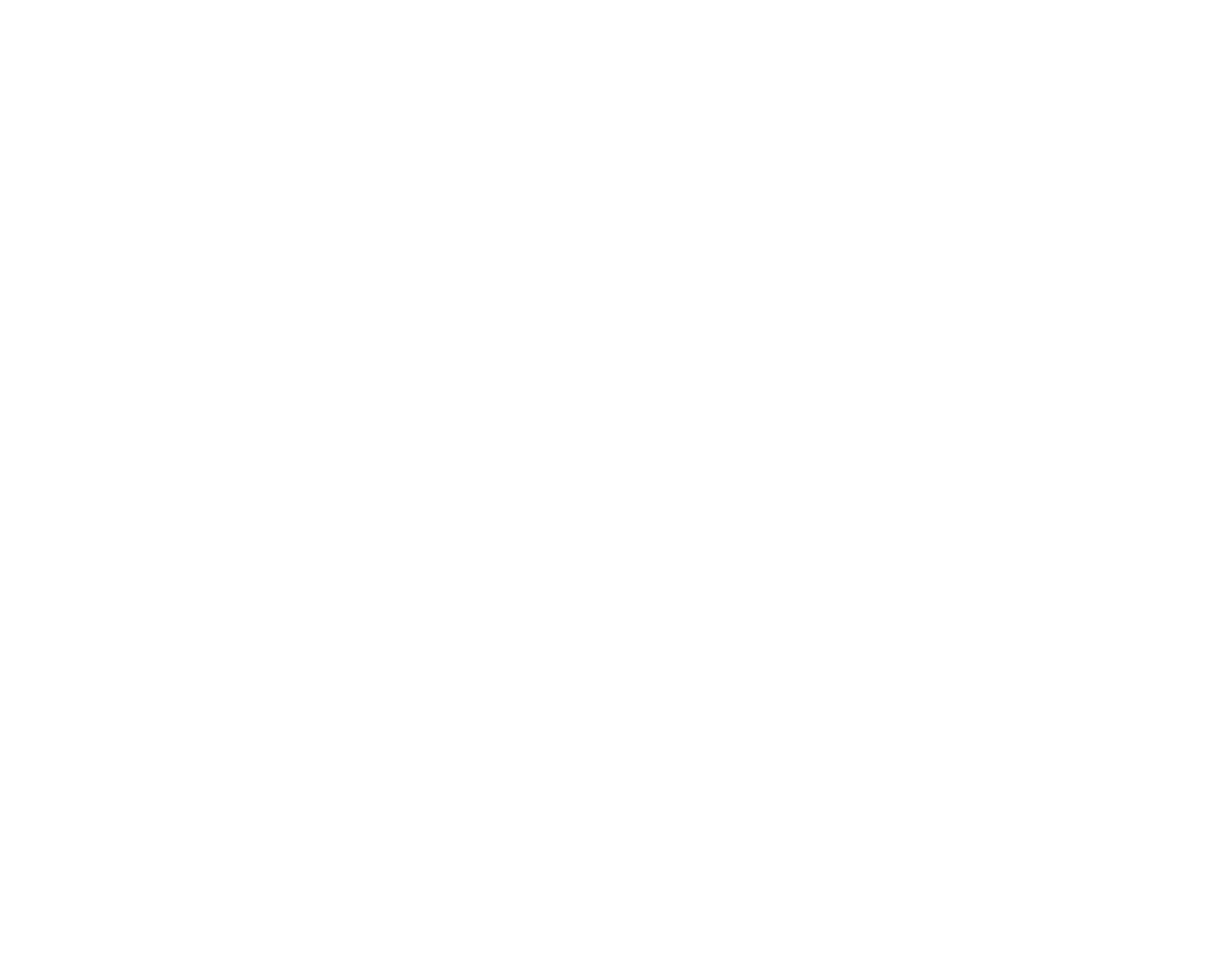 Nicole McLaren Logotype by WEBCHAMP
